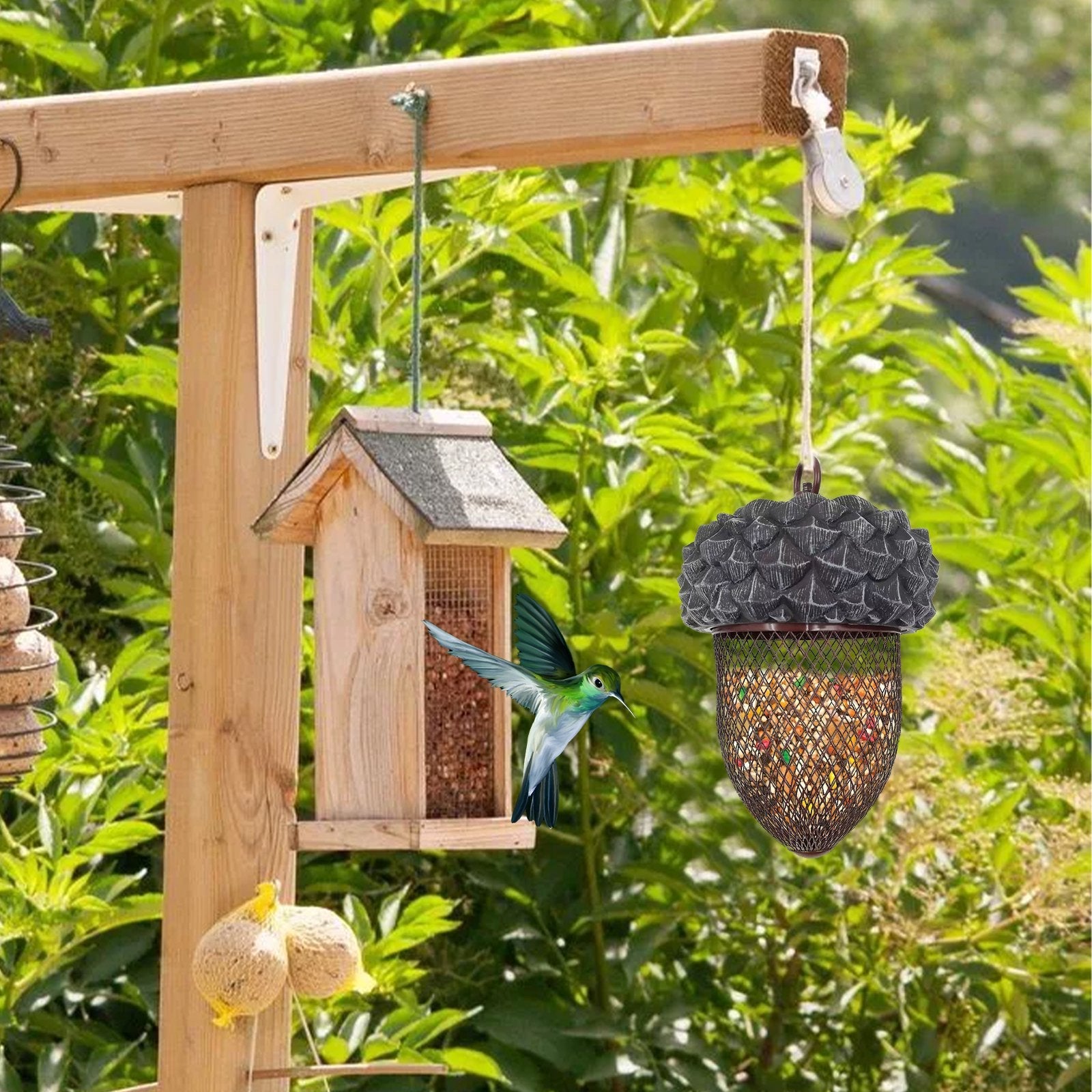 Hanging garden bird feeders with a hummingbird feeding