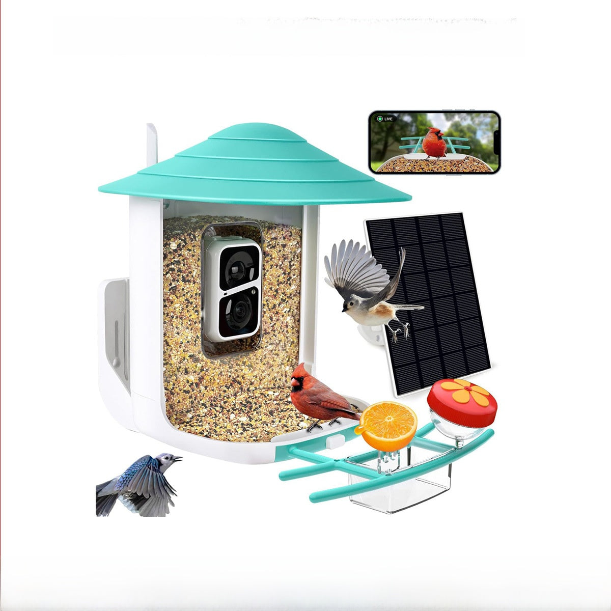 Solar Powered AI Bird Feeder Camera Smart Garden Wildlife Feeder