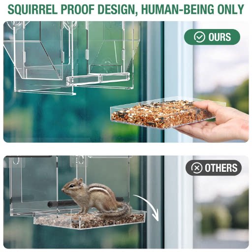 Window Mounted Bird Feeder Clear Suction Cup Feeder for Close Viewing