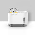 Space Bear Humidifier Cute Quiet Desktop Home Air Hydration