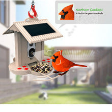 Solar Powered AI Bird Feeder Camera Smart Garden Wildlife Feeder
