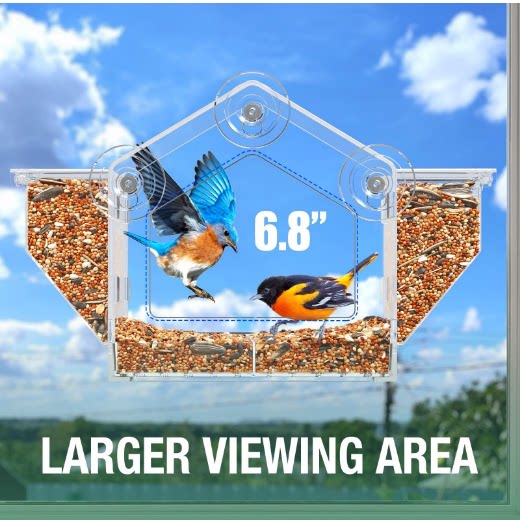 Window Mounted Bird Feeder Clear Suction Cup Feeder for Close Viewing