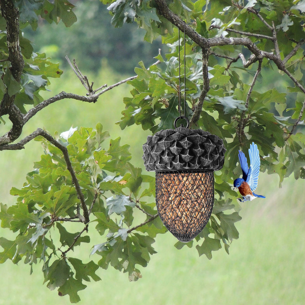 Acorn Shaped Bird Feeder Hanging Garden Feeder for Wild Birds