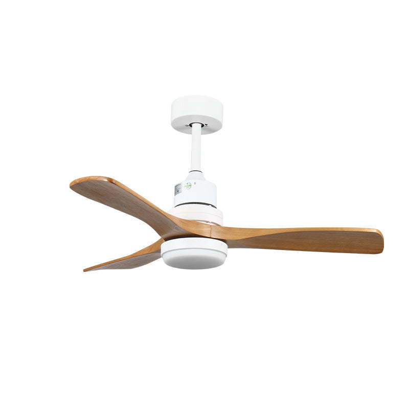 Variable Frequency Ceiling Fan Light Remote Control LED