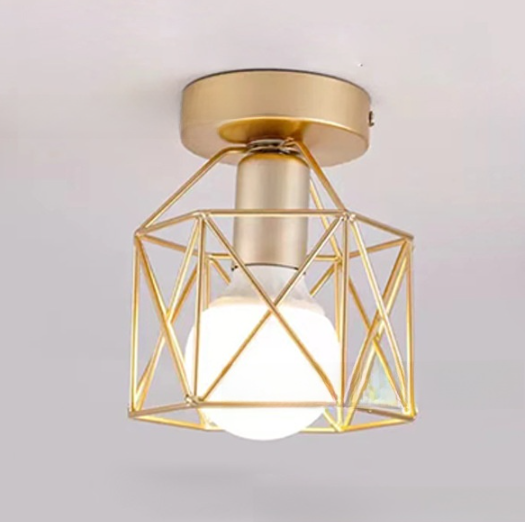 Ceiling Light Fixture Lamp