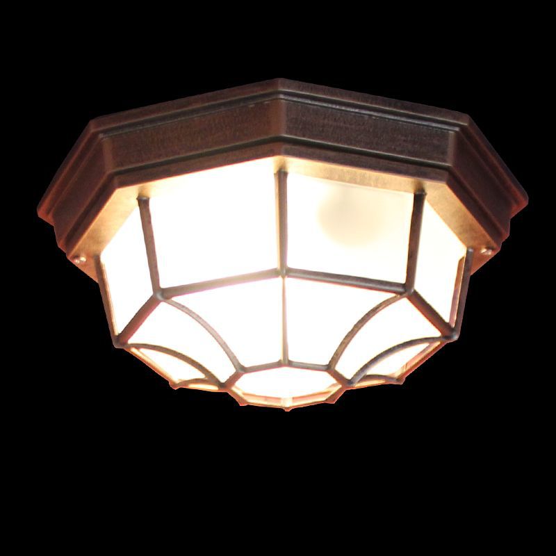 Retro Waterproof LED Ceiling Light Outdoor Indoor Use Lamp